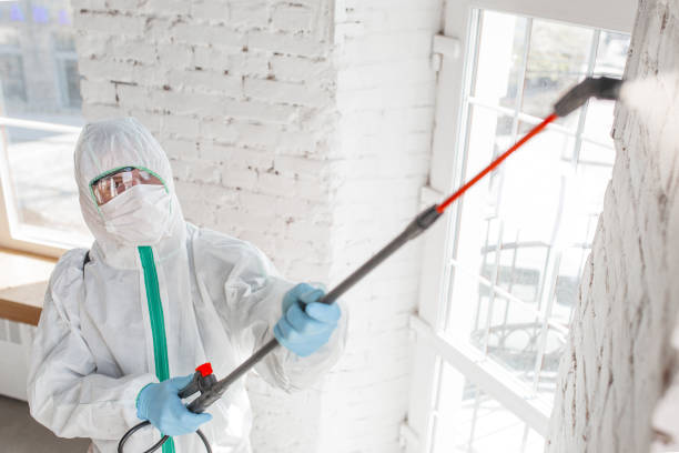 Best Mold Prevention Services  in Beechwood, MI
