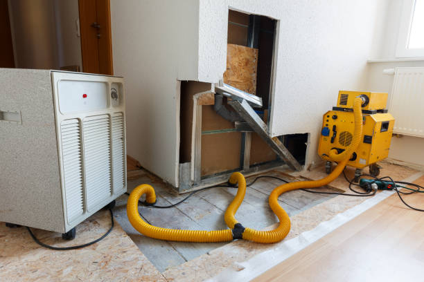 Best Water Damage & Mold Remediation  in Beechwood, MI