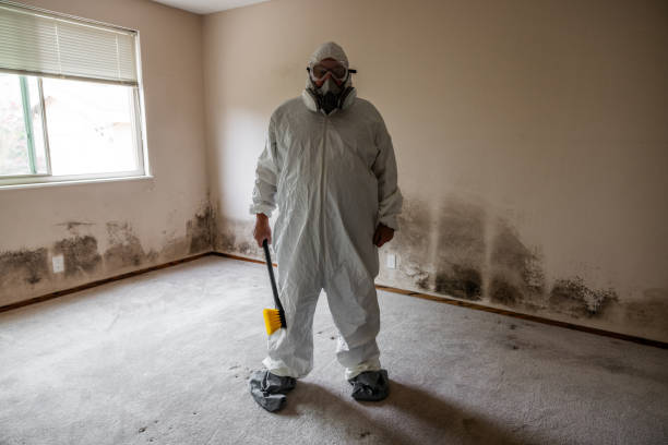 Mold Removal for HVAC Installations in Beechwood, MI